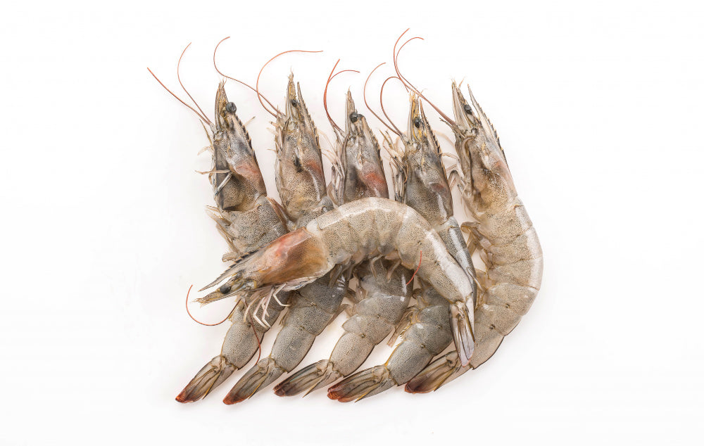 2KG Shrimps full shell (30/40)